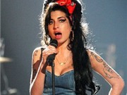 Bóng đá anh, ngoại hạng anh, lịch thi đấu euro 2012, Thành lập quỹ A.Winehouse